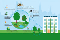 <p>Die Grün Stadt Zürich informiert im Rahmen von Onlineveranstaltungen über die Möglichkeiten, die das Förderprogramm Stadtgrün bietet und wie man diese…</p>