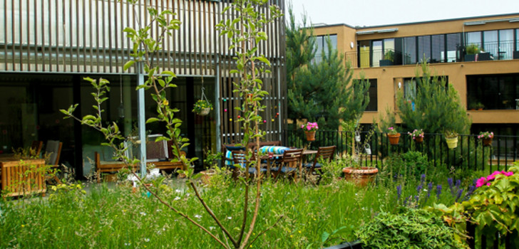 Natur vor der Haustür beeinflusst