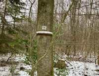 <p>Eine an den Friedhof Rosenberg angrenzende Waldparzelle wurde zum «Ruhewald» umgewidmet. Dort kann die Asche Verstorbener am Fuss ausgewählter…</p>