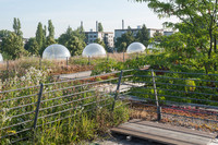 <p>Im grössten städtischen Natur­park der Schweiz liegen zwei Kliniken: wie sich Genesung und Natur ergänzen.</p>