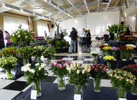 <p>Eindrucksvolle Neuheiten und spannende Marketingkonzepte präsentierte die Agrotropic AG anlässlich ihrer Rosentage, die vom 22. bis 24.Oktober 2013 in…</p>