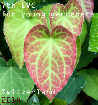 <p>Kaum sind der Pflanzencontest und die Berner Ausscheidung für die SwissSkills vorbei, wird die Gartenbauschule Oeschberg bereits wieder Austragungsort…</p>