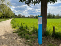 <p>In unmittelbarer Nähe zu Basel, Riehen, Weil am Rhein und Lörrach liegt der grenzüberschreitende Landschaftspark Wiese. Er ist «Trinkwasserfabrik»,…</p>