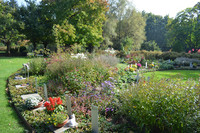 <p> Das traditionelle Reihengrab ist seit vielen Jahren rückläufig. Gemeinschaftsgräber überwiegen als Grabform auf städtischen Friedhöfen und prägen das…</p>