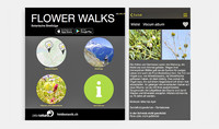 <p>Mit der App Flower Walks können in&nbsp;der Schweiz auf 71 Streifzügen über 1100 wildlebende Pflanzenarten und ihre Geheimnisse entdeckt werden.&nbsp;</p>
