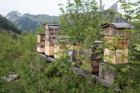 <p>Am Weltbienentag vom 20. Mai war die Situation der Schweizer Bienen schlechter denn je: Lebensraumverlust, intensive Landwirtschaft sowie belastende…</p>