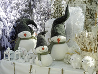 <p>Mit einer magischen Sternennacht wurde am 8. November 2013 die grosse Advents- und Weihnachtsausstellung der Huplant Pflanzenkulturen AG in Hirschthal…</p>