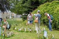 <p>In Zusammenarbeit mit den «Swiss Butterfly Breeders» veranstaltete das Wyss GartenHaus Zuchwil am vergangenen Wochenende erstmals das Festival der…</p>