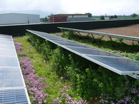 <p>«Die Energiewende ist alternativlos», erklärte vor Kurzem die deutsche Bundeskanzlerin Angela Merkel. Ja klar, an der Energiewende – effizient, 100 %…</p>