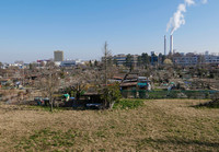 <p>Obstbäume, Schafe, Gemeinschaftsgärten – die Stadtgärtnerei Basel läutet mit ihrer Freizeitgartenstrategie eine neue Ära ein, weg von eingezäunten…</p>