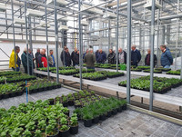 <p>Auf der Mitgliederversammlung der Fachgruppe Jungpflanzen (FGJ) im Zentralverband Gartenbau (ZVG) wurde Anfangs November 2023 in Bad Dürkheim…</p>