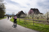 <p>Die Lorzenebene im Kanton Zug wurde als «Landschaft des Jahres 2026» ausgezeichnet. Die Stiftung Landschaftsschutz Schweiz würdigt damit die…</p>