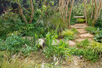 <p>2021 fand die Chelsea Flower Show zum ersten Mal in ihrer Geschichte im September statt. Die meisten der gezeigten Schaugärten waren für die…</p>