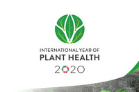 <p>Das Jahr 2020 ist das «Internationale Jahr der Pflanzengesundheit» (IYPH). Am 2. Dezember hat die UNO-Ernährungs- und Landwirtschaftsorganisation FAO…</p>