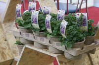 <p>Das Rennen ist gestartet: Ressourcenschonende Kunststofflösungen und biologisch abbaubare Materialien buhlen um die Gunst der Anwenderinnen und…</p>