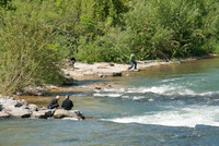 <p>Die 1. Konferenz Landschaftsschutz war dem Kennenlernen, ​dem Austausch und dem Netzwerken gewidmet. Im Natur- und Landschaftsschutz tätige…</p>