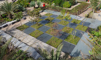 <p>Mediterrane Pflanzen stehen im Fokus des Gartenfestivals Radicepura, das dieses Jahr zum zweiten Mal von der Baumschule ­Piante Faro auf Sizilien, in…</p>