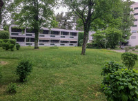 <p>Immer häufiger lautet die Vorgabe bei Ausschreibungen «einheimisch und standortgerecht». Diese Forderung stösst im Siedlungsraum an Grenzen. </p><p>Eine…</p>