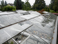 <p>Je nach Ertragswert und Kultur, die angebaut wird, ist dieser oder jener Gewächshaustyp mehr oder weniger geeignet. Gleiches gilt für das…</p>