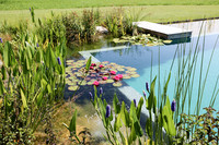 <p>Die Gestaltung von Schwimmteichen und Naturpools im Privatgarten ist angesehen und lukrativ. Dennoch bestehen finanzielle Risiken. Die Gefahren sind…</p>
