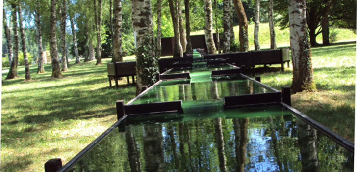 Die intensive grüne Farbe