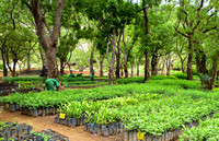 <p>Natur- und Kulturerbe treten im Nationalpark der malischen Hauptstadt Bamako in eine harmonische Wechselwirkung. Die Genfer Stiftung Aga Khan Trust…</p>