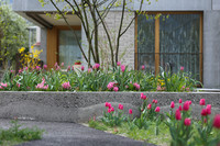 <p>In dritter Generation führt Olivier Zuber den Familienbetrieb Zuber Aussenwelten in Domat / Ems. Dem Landschaftsarchitekten ist es ein Anliegen, mit…</p>