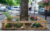 Paris vergibt Lizenz zum Begrünen <p>Im Rahmen einer Grünoffensive der Stadtregierung können die Einwohnerinnen und Einwohner von Paris seit dem 1. Juli eine Lizenz zum Begrünen erwerben.…</p>