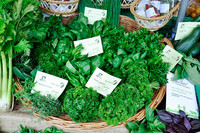 <p>Biologische Produkte treiben den Markt rasant an. Das Urban Gardening bringt Menschen zum Gärtnern, die vom Kräuter- und Gemüseanbau keine Ahnung…</p>