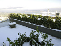 <p>Mit seinem neusten Wurf, einem 14,82 m langen Glasfaser-Pflanzgefäss aus ­einem Guss, setzt Urs ­Wiesendanger neue Massstäbe. dergartenbau war bei der…</p>