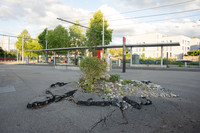 <p>Neue Ideen für mehr Biodiversität sind gefragt: Für den Binding Preis 2027 sucht die Sophie und Karl Binding Stiftung Projekte, die mit ungewöhnlichen…</p>