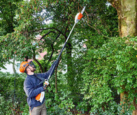 <p>Der Einsatz von Hochentastern in der Gehölzpflege ist immer dann gefragt, wenn Hebebühnen aus räumlichen oder ökonomischen Gründen ausscheiden.…</p>