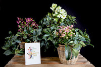 <p>Die IPM in Essen kann fast erschlagend wirken. Immerhin waren in diesem Jahr 1588 Aussteller aus aller Welt präsent. Die Fülle des </p><p>Gezeigten war…</p>