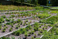 <p>Mit 53 Zertifikationsvergaben erreichte die Stiftung Natur &amp; Wirtschaft 2020 einen neuen Rekord. Im vergangenen Jahr wurden 24 Zertifikate und 17…</p>