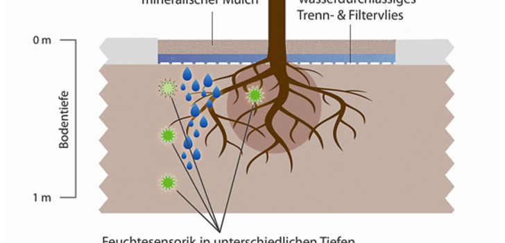 Schematische Darstellung