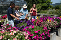 <p>Welche Züchtungen im aktuellen Beet- und Balkonblumensortiment ragen heraus? An der diesjährigen Sommertagung Zierpflanzenbau der Staatlichen Lehr-…</p>