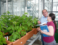 <p>Wurden früher für den Hausgartenmarkt vor allem Obst- und Beerensorten eingeführt, die zunächst für den Erwerbsanbau gedacht waren, so züchtet Lubera…</p>