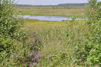 <p>In der Schweiz ist der Abbau von Torf verboten, doch werden jährlich rund 130 000 t importiert. Naturschutzkreise beklagen die Zerstörung wertvoller…</p>