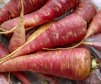 <p>Am 16. November 2018 fand der elfte Bioterra-Naturgartentag statt. Obwohl das Veranstaltungsthema «Saat und Saatgut» auf den ersten Blick recht…</p>