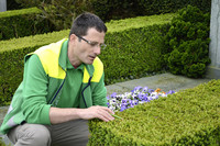 <p>In Basel trat der Buchsbaumzünsler erstmals vor fünf Jahren auf. Einer der Brennpunkte war dabei der Friedhof am Hörnli, der über grosse Buchsbestände…</p>