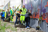 <p>Entlang einer kahlen Betonmauer haben 100 Schülerinnen und Schüler letzte Woche in Basel 50 Kletterpflanzen gepflanzt. Die Aktion ist eine Initiative…</p>