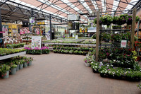 <p>Nach zwei Jahren Pause lädt der Internationale Gartencenter Verband (IGCA) wiederum zu einem Kongress ein, dieses Mal nach Amsterdam.…</p>