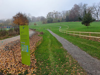 Dritte Hundefreilaufzone in der Stadt Luzern <p>Die Stadt Luzern realisierte auf dem Tribschenhorn, unterhalb des Richard Wagner Museums, die dritte städtische Hundefreilaufzone. Das zweijährige…</p>