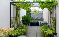 <p>Dachgärten erfreuen sich grosser Beliebtheit und schaffen dort Grün, wo sonst keines wäre. Drei grüne Terrassen bei einer Neubauwohnung in Frankfurt…</p>