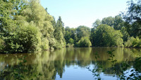 <p>Die Weiheranlage Entenweiher liegt inmitten des Landschaftsparks Wiese, einem der bedeutendsten Landschafts- und Naturräume in der Region Basel.…</p>