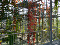 <p>Vom 27. bis 29. Juni 2011 stehten die Stadt Zürich und die Schweizer Landschaftsarchitekturszene im Schaufenster der internationalen Fachwelt. Grün…</p>