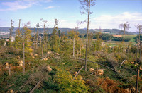 <p>Am Morgen des 26. Dezember 1999 fegte der Orkan «Lothar» über die Schweiz und warf 12.7 Millionen Kubikmeter Holz zu Boden. Der Schaden am Wald betrug…</p>