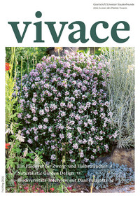<p>Mit einer umfassenden Neugestaltung präsentiert sich das Magazin «Vivace» der Gesellschaft Schweizer Staudenfreunde (GSS) moderner, grosszügiger und…</p>