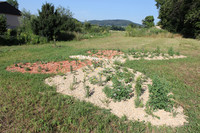 <p>Die Abbildung zeigt eine Ruderalfläche in Form eines Schmetterlings mit zehn Metern Flügelspannweite. Sie ist mit 300 einheimischen Wildstauden in 60…</p>
