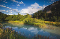 <p>Wo die Rhone noch Kies umlagert, Seitenarme bildet und neue Lebensräume schafft, entsteht eine aussergewöhnliche Artenvielfalt. Dafür zeichnet Aqua…</p>